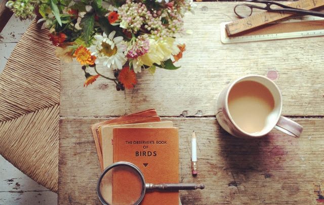 Tình yêu và sự nghiệp